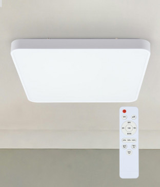 라이즈 방전등 방등교체 안방조명 리모컨방등 LED75W